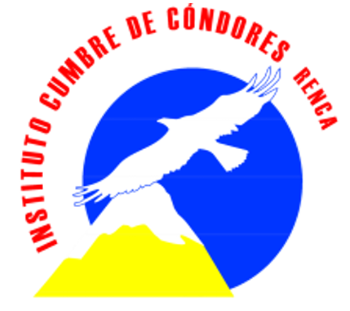 Instituto Cumbre de Cóndores Renca Logo